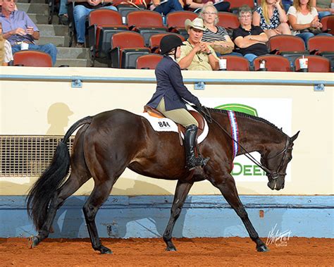 aqha youth world  offer   classes instrideedition