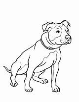 Bull Pit Pitbull Coloring Pages Dog Drawing Line Drawings Nose Red Animal Printable Pitbulls Puppy Coloringcafe Colouring Color Getdrawings Template sketch template