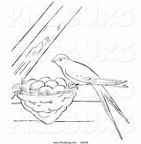 Nest Swallow Bird Clip Beams Between Line Its Picsburg sketch template
