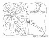 Inchworm Coloring Puddle Pages Getcolorings Printable Getdrawings Color sketch template