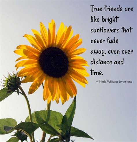 sunflower quotes   sunflower sayings  images sunflower