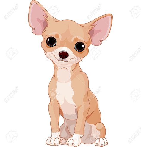 chihuahua puppy clipart   cliparts  images