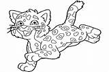 Coloring Jaguar Pages Baby Diego Go Color Cartoon Drawing Printable Getdrawings Print Popular Kind Sheets Books sketch template