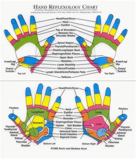 hand reflexology chart pressure points reflexologie