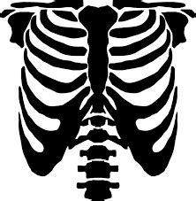 image result  diy skeleton costume template venom halloween costume