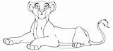 Lioness Leao Cubs Sketches sketch template