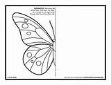 Symmetry Butterfly Activity Coloring Pages Kids Symmetrical Printable Activities Sheets Pdf Grade Lessons Small sketch template