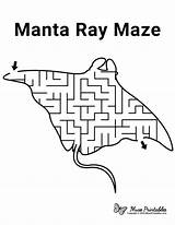 Maze Manta Ray Mazes Kids Printable Worksheets Animal Museprintables Activity Paper Activities Choose Board sketch template