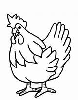 Hen Coloring Pages Little Red Getcolorings sketch template