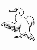 Coloring Cormorant Pages Supercoloring Drawings Printable Kids Color sketch template