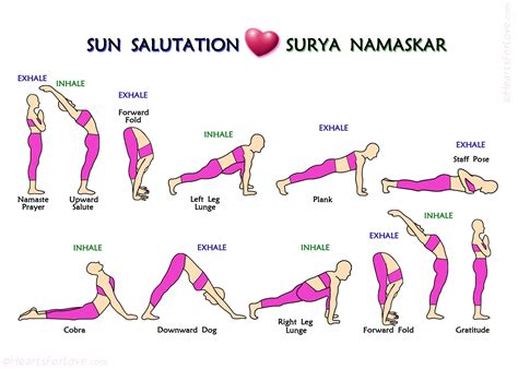 steps  surya namaskar  sun salutation yoga etsy