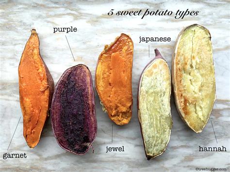 sweet potatoes   buy