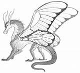 Wings Fire Coloring Pages Hybrids Silkwing Drawing Dragons Ang Joy Edits Sure Few Go Pic After Will sketch template