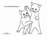 Playing Kittens Coloring sketch template