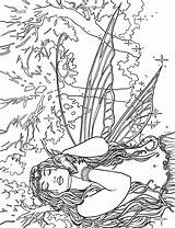 Fenech Adult Selina Mermaids sketch template