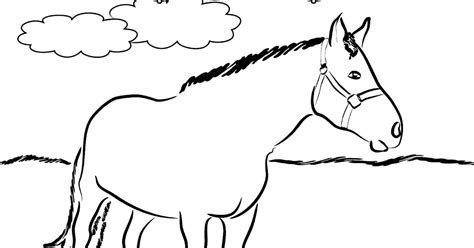 horse coloring pages    coloring page   horse