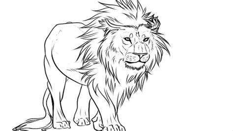 coloring pages lion coloring pages coloring pages easy kids drawing lion