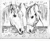 Coloriage Chevaux Cheval Monsite sketch template