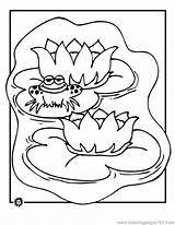 Coloring Frog Lily Pad Pages Printable Cartoon Bat Drawing Pads Online Amphibians Color Lilypad Prince Clipart Getdrawings Crafts Gif Frogs sketch template