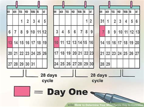 how to determine your most fertile day to conceive 7 steps