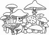 Kleurplaten Mewarnai Jamur Pilze Champignons Paddestoelen Colorier Funghi Cogumelos Ausmalbild Pilz Mushrooms Malvorlage Animasi Champignon Bergerak Fungo Animaatjes Animali sketch template