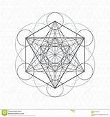 Geometry Sacred Life Metatron Seed Outline Vector sketch template