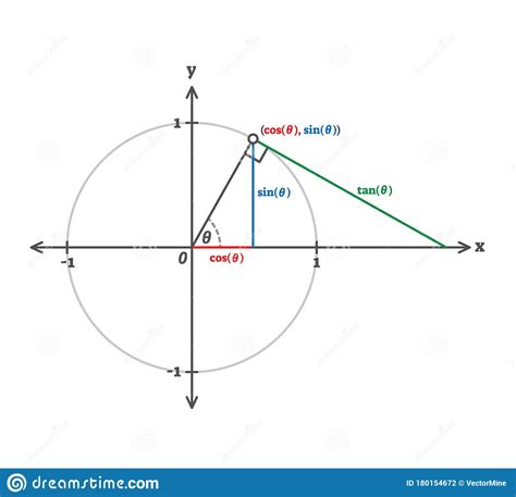 trigonometry cosinus sinus  tangents  diagram stock vector illustration  logic