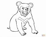 Bear Coloring Cub Pages Asia Drawing Capybara Color Baby Getcolorings Getdrawings Unbelievable Printable sketch template