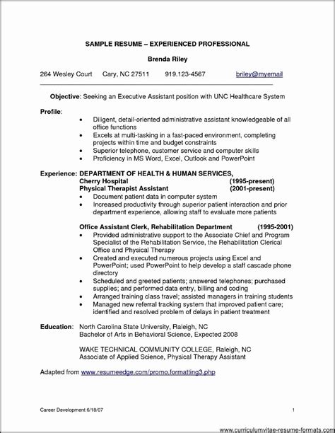 resume   professional letter  template