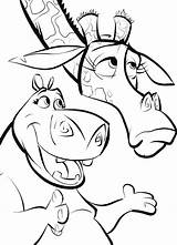 Madagascar Melman Stampare sketch template