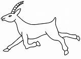 Antelope Running sketch template