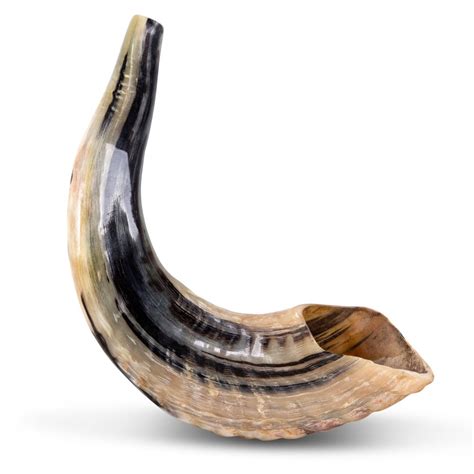 genuine shofar horn  meaningful life center