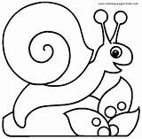 Coloring Pages Snail Color Animal Printable Snails Sheets Kids Sheet Leaf Found sketch template