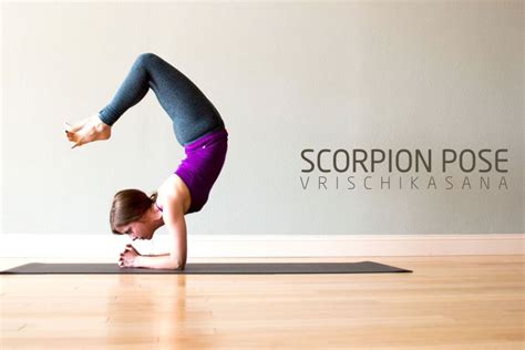 scorpion pose vrischikasana workout trends