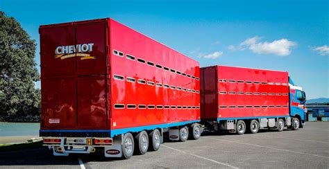 livestock trailers nz  domett truck trailer