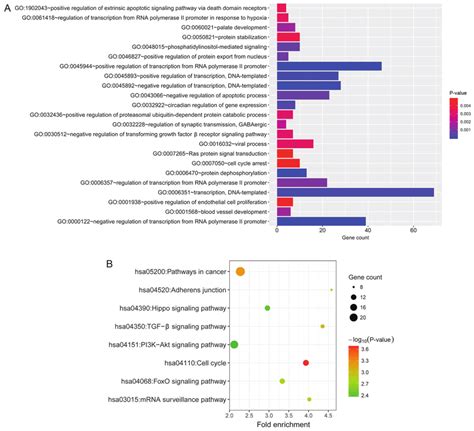 kegg analysis  significantly enriched  biological  scientific diagram