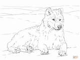 Wolf Coloring Arctic Pages Printable Ausmalbilder Ausmalbild sketch template