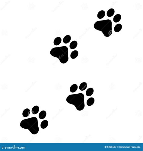 paw prints royalty  stock photography image