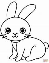 Coloring Rabbit Rabbits Pages Lovely Printable Drawing Supercoloring Categories sketch template