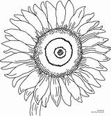 Coloring Sunflower Pages Printable Color Sunflowers Vase Adult sketch template