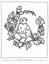 Coloring Christmas Pages Bird Winter Vintage Birds Printable Colouring Ausmalbilder Animals Tree Print Mandala Xmas Choose Board Onlycoloringpages Kaynak Popular sketch template