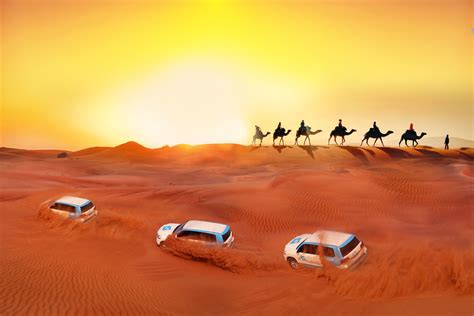 dubai desert safari camel rides