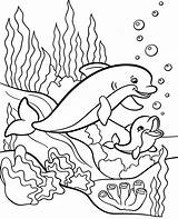 Coloring Dolphins Dolphin Pages Baby Children Sea Kids Animals Printable Water Print Animal Topcoloringpages Two Color Ocean Toddlers Kleurplaten Mommy sketch template