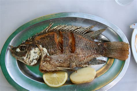 ryba swietego piotra izraelpl