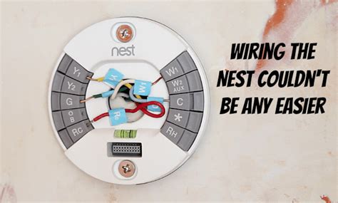 nest  wiring guide