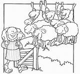Sheep Smarrita Pecorella Parable Parabola Perdida Oveja Pastore Parables Shepherd Religiocando Ovelha Oggetti Parábola Rayito Biblici Parabole sketch template
