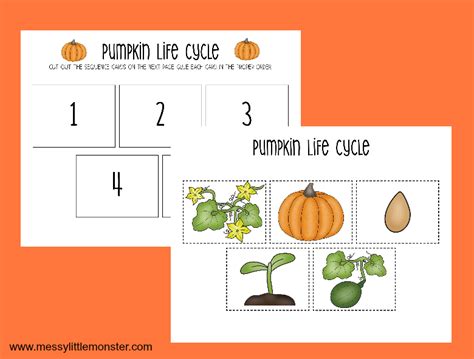 printable pumpkin life cycle worksheets messy  monster