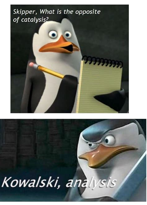 guay kowalski noted meme ariadi forester