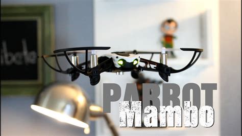 parrot mambo drones de interiores youtube