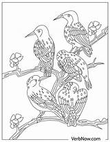 Verbnow Flock sketch template